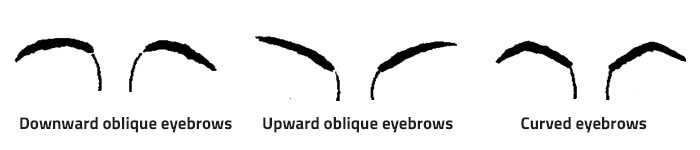 angle of eyebrows